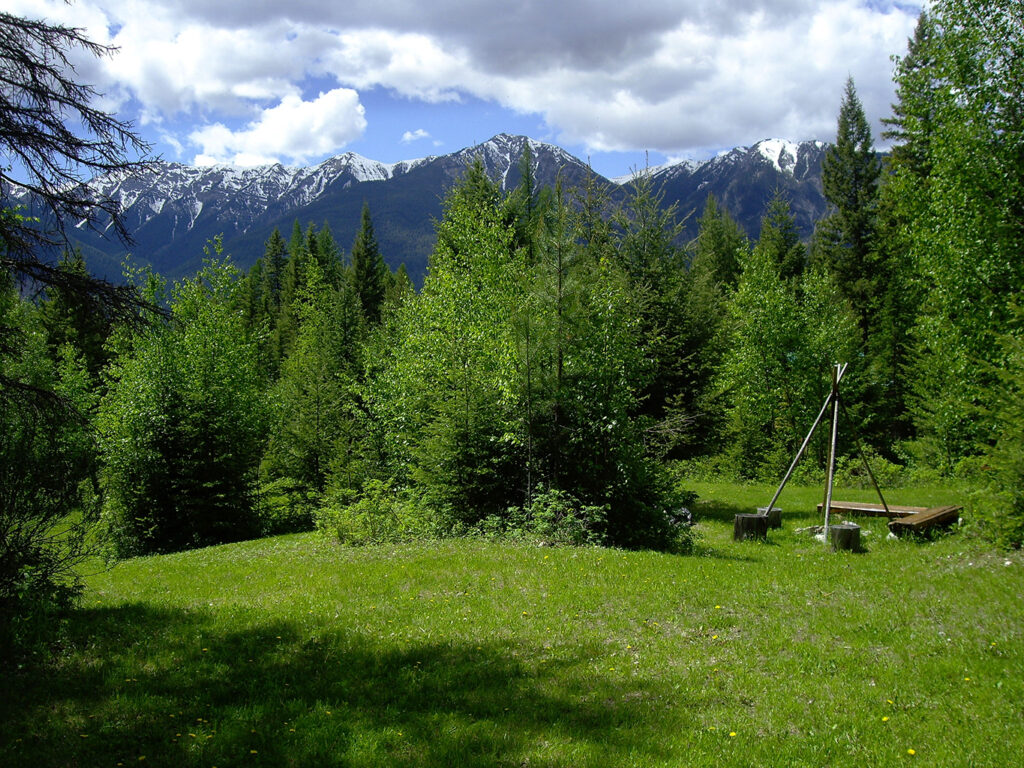 Main lodge and cabins in meadow setting